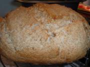 Brot: Dinkel-Mischbrot im Ultra.... gebacken - Rezept