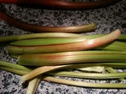 Rhabarberstreuselschnitten - Rezept