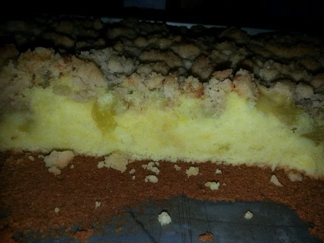 Rezept: Rhabarberstreuselschnitten Bild Nr. 7 Rhabarberstreuselschnitten - Rezept - Bild Nr. 7