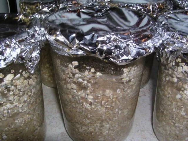 Schwarzbrot im Weckglas - Rezept - Bild Nr. 6