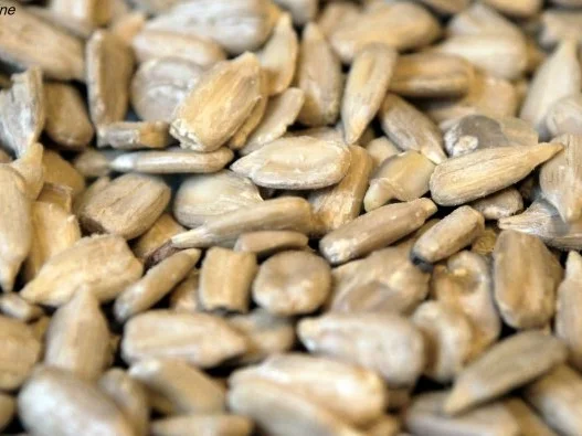 Rezept: Mehrkornbrot Bild Nr. 4 Mehrkornbrot - Rezept - Bild Nr. 4