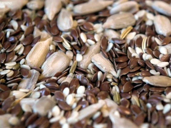 Rezept: Mehrkornbrot Bild Nr. 6 Mehrkornbrot - Rezept - Bild Nr. 6