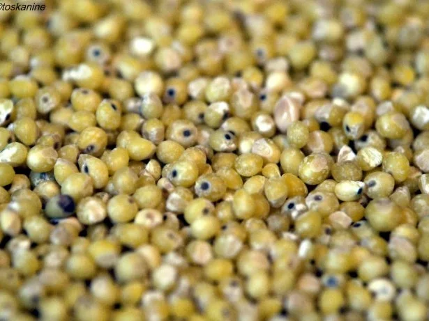 Rezept: Mehrkornbrot Bild Nr. 7 Mehrkornbrot - Rezept - Bild Nr. 7