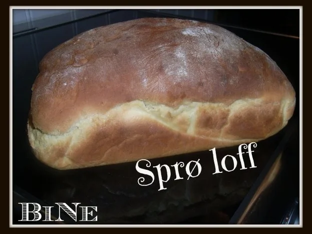 Rezept: BiNe` S SPRØ LOFF - KNUSPRIGES BROT BiNe` S SPRØ LOFF - KNUSPRIGES BROT - Rezept
