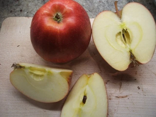 Backen: Quark-Apfel-Schnecken - Rezept - Bild Nr. 6