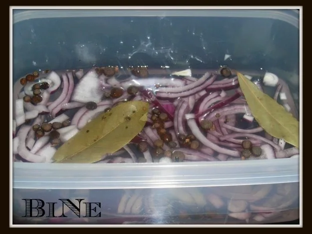 Rezept: BiNe` S EINGELEGTE HERINGSFILETS Bild Nr. 3 BiNe` S EINGELEGTE HERINGSFILETS - Rezept - Bild Nr. 3