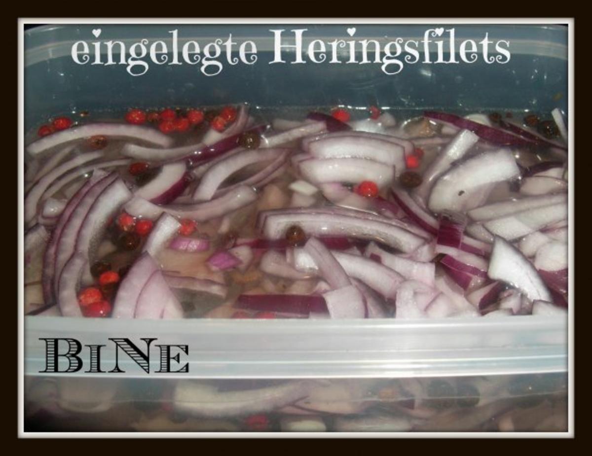 BiNe` S EINGELEGTE HERINGSFILETS - Rezept - Bild Nr. 5