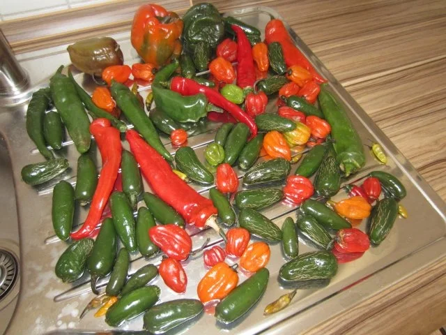 Rezept: Süße Chili-Soße Bild Nr. 2 Süße Chili-Soße - Rezept - Bild Nr. 2