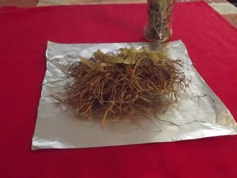 Rezept: PERLHUHNBRÜSTLI auf LINDENBLÜTEN und BERGHEU Bild Nr. 3 PERLHUHNBRÜSTLI auf LINDENBLÜTEN und BERGHEU - Rezept - Bild Nr. 3