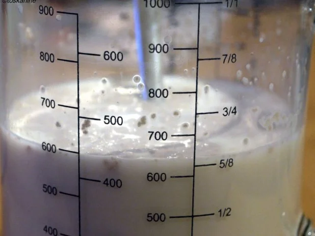 Sonntagsfrühstücksbrot - Rezept - Bild Nr. 2