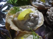 Thunfisch-Häppchen - Rezept