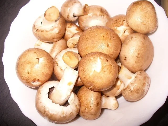 Rezept: Rinderfiletsteak mit Champignons Bild Nr. 5 Rinderfiletsteak mit Champignons - Rezept - Bild Nr. 5