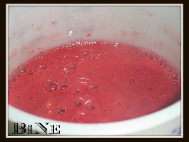 BiNe` S HIMBEERSMOOTHIE - Rezept - Bild Nr. 6