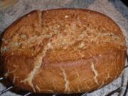 Brot: Mischbrot mit Sonnenblumenkernen im Ultra.... gebacken - Rezept