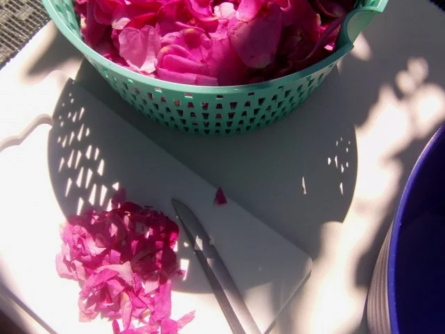 Rezept: Dänisches Wildrosen Salz Bild Nr. 4 Dänisches Wildrosen Salz - Rezept - Bild Nr. 4