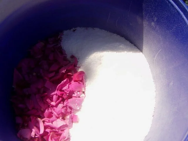 Rezept: Dänisches Wildrosen Salz Bild Nr. 6 Dänisches Wildrosen Salz - Rezept - Bild Nr. 6