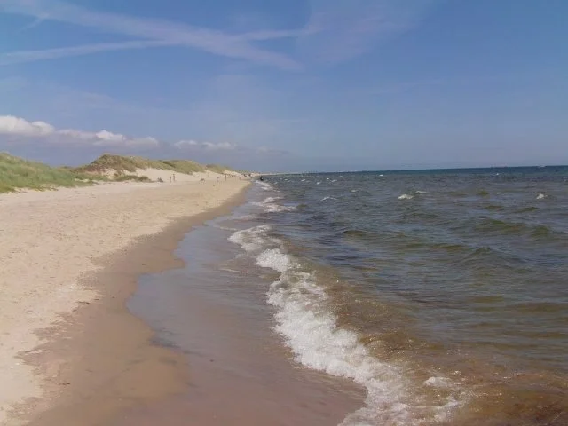 Rezept: Dänisches Wildrosen Salz Bild Nr. 8 Dänisches Wildrosen Salz - Rezept - Bild Nr. 8