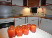 Orangen-Ingwer-Apfel  Gelee - Rezept