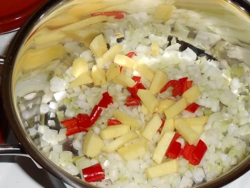 Karotten-Ingwer-Mango-Suppe - Rezept - Bild Nr. 4