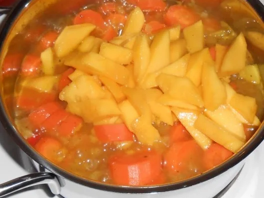 Karotten-Ingwer-Mango-Suppe - Rezept - Bild Nr. 7