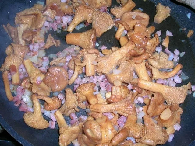 Rehgulasch mit Pfifferlingen - Rezept - Bild Nr. 4