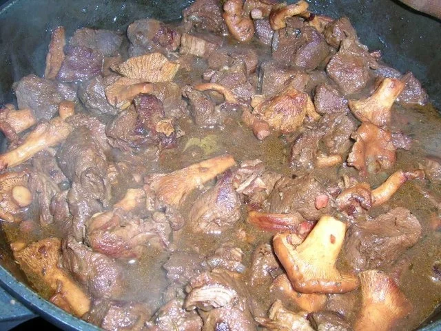 Rehgulasch mit Pfifferlingen - Rezept - Bild Nr. 6