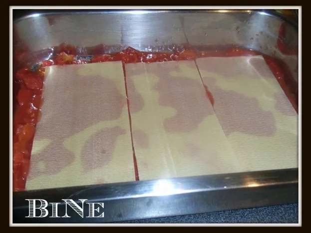 Rezept: BiNe` S HÆHNCHENLASAGNE Bild Nr. 5 BiNe` S HÆHNCHENLASAGNE - Rezept - Bild Nr. 5