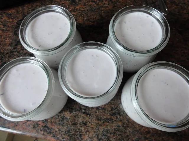 Rezept: Dessert: HEIDELBEER-SCHMANDCREME Bild Nr. 6 Dessert: HEIDELBEER-SCHMANDCREME - Rezept - Bild Nr. 6