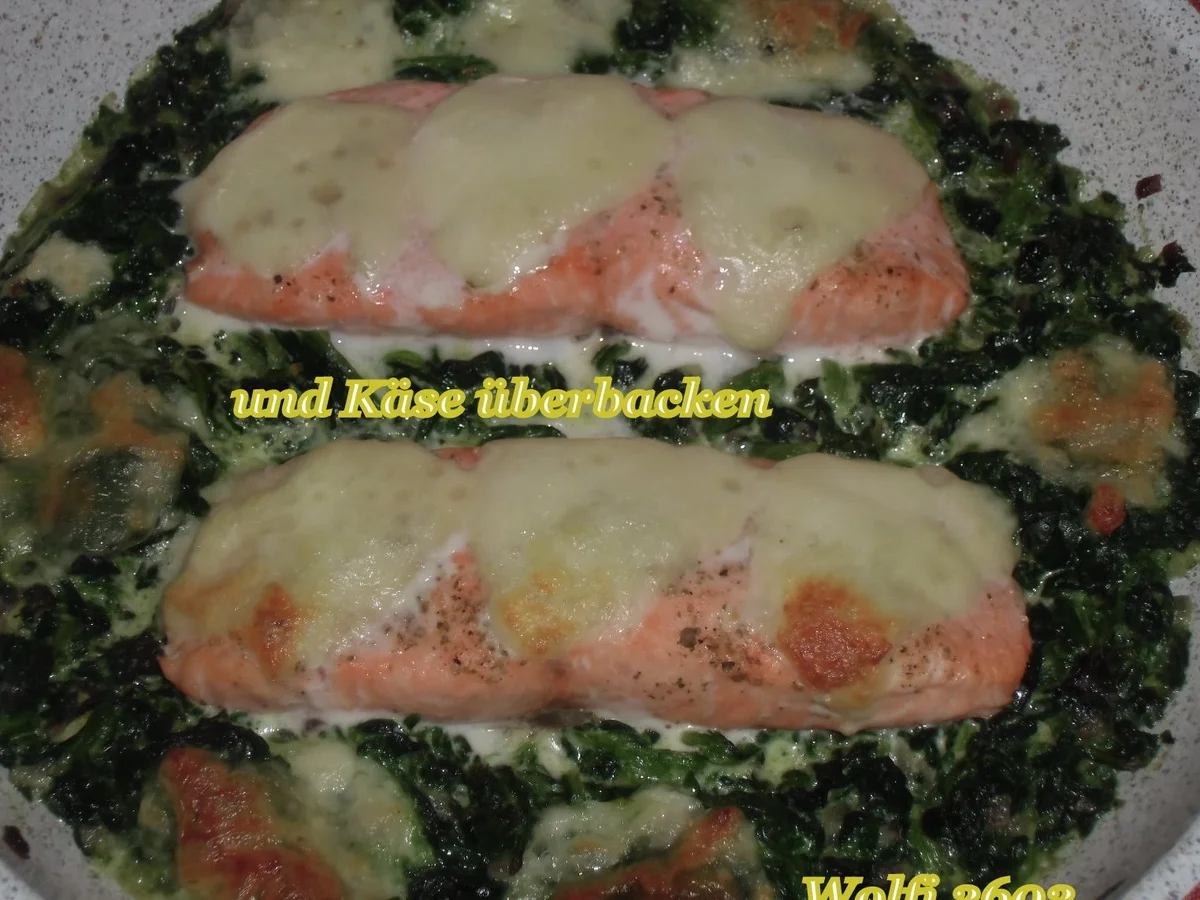 Fisch : Lachs auf Blatt-Spinat gedünstet (ohne Fix-Päckchen) - Rezept - Bild Nr. 6