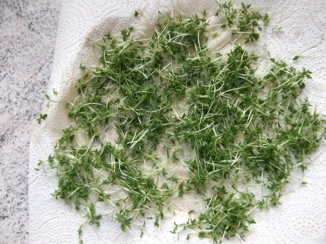 Spätzle Dieter´s Art - Rezept - Bild Nr. 5