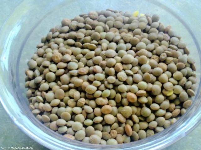 Rezept: Linseneintopf mit Fleischklösschen Linseneintopf mit Fleischklösschen - Rezept