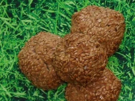 Pferdeäppel - Rezept - Bild Nr. 2