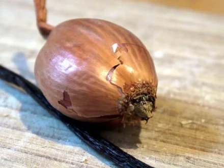 Maronenhuhn - Rezept - Bild Nr. 3