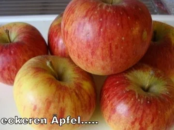 Rezept: Apfel-Karamell Marmelade Bild Nr. 3 Apfel-Karamell Marmelade - Rezept - Bild Nr. 3