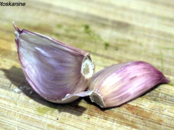 Tomatennocken in Knoblauch-Sahne - Rezept - Bild Nr. 9