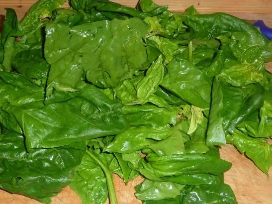 Rezept: Gemüsebeilage : Petersilie - Lauch - Spinat Bild Nr. 7 Gemüsebeilage : Petersilie - Lauch - Spinat - Rezept - Bild Nr. 7