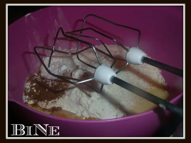 Rezept: BiNe` S KOKOSKUCHEN Bild Nr. 3 BiNe` S KOKOSKUCHEN - Rezept - Bild Nr. 3