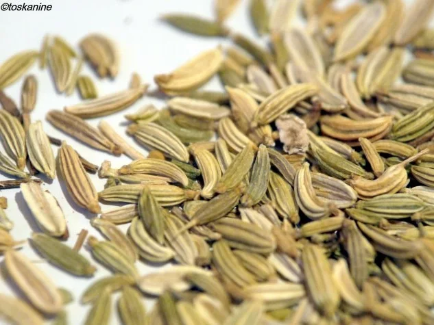 Rezept: Polpettine al limone Bild Nr. 4 Polpettine al limone - Rezept - Bild Nr. 4