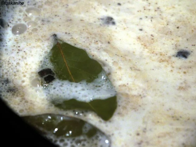 Rezept: Polpettine al limone Bild Nr. 11 Polpettine al limone - Rezept - Bild Nr. 11