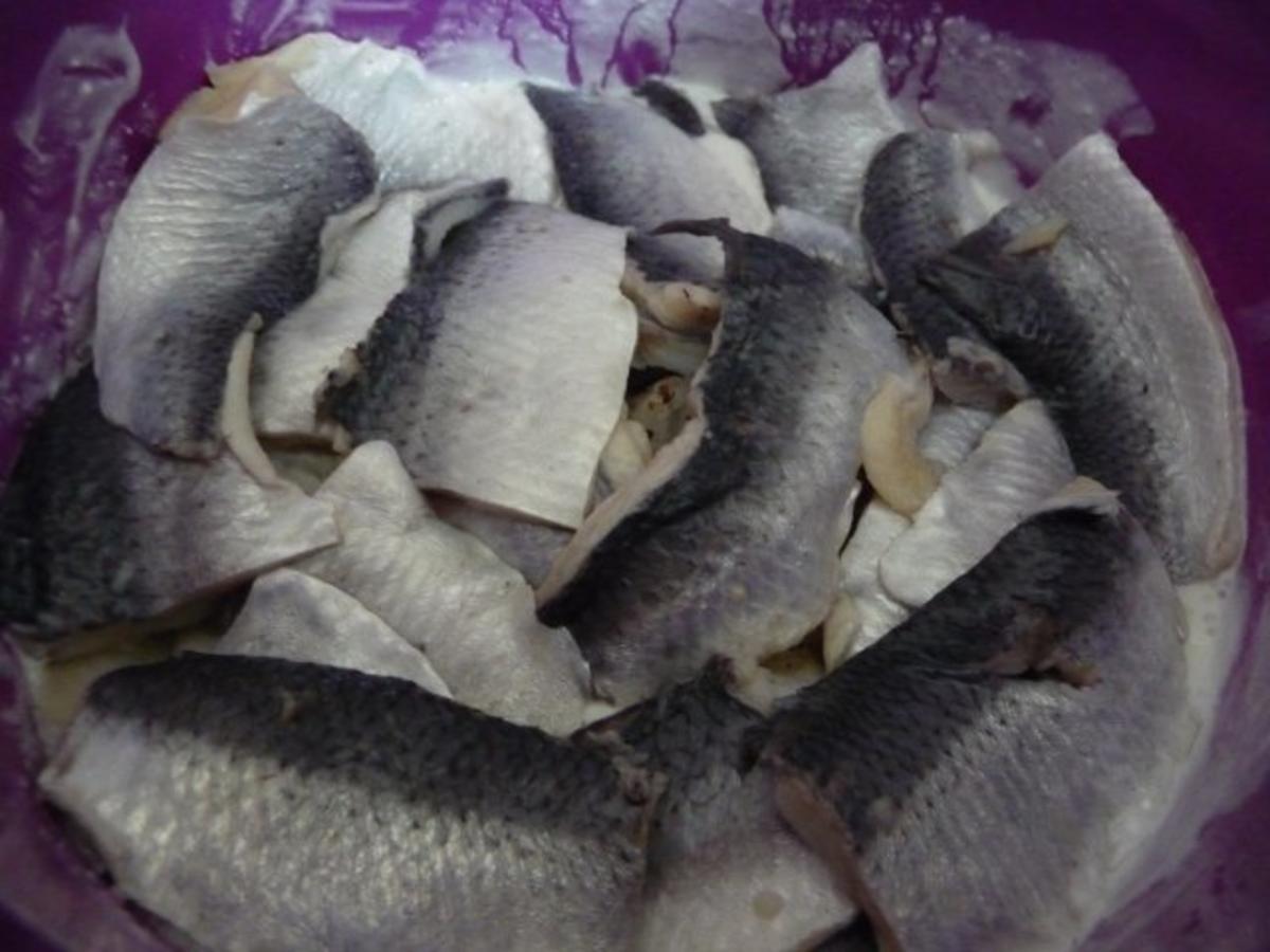 Fisch : Eingelegten Bismarckheringe  an Schmand - Joghurt-Soße mit Petersilien - Kartoffen - Rezept - Bild Nr. 4