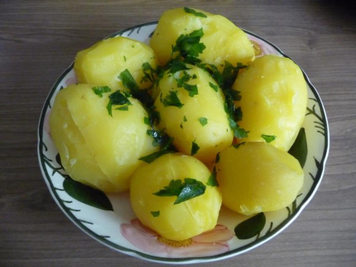 Fisch : Eingelegten Bismarckheringe  an Schmand - Joghurt-Soße mit Petersilien - Kartoffen - Rezept - Bild Nr. 12