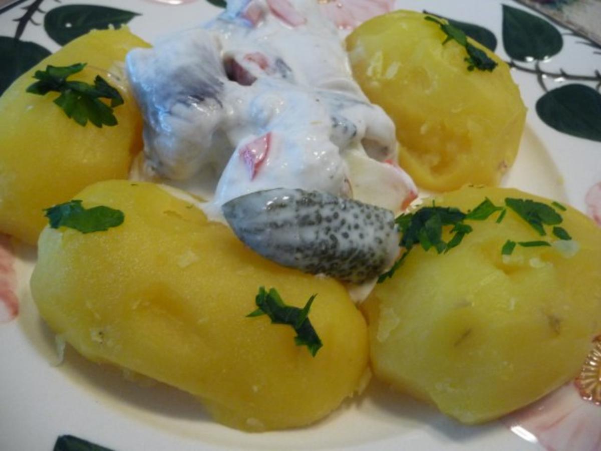 Fisch : Eingelegten Bismarckheringe  an Schmand - Joghurt-Soße mit Petersilien - Kartoffen - Rezept - Bild Nr. 13