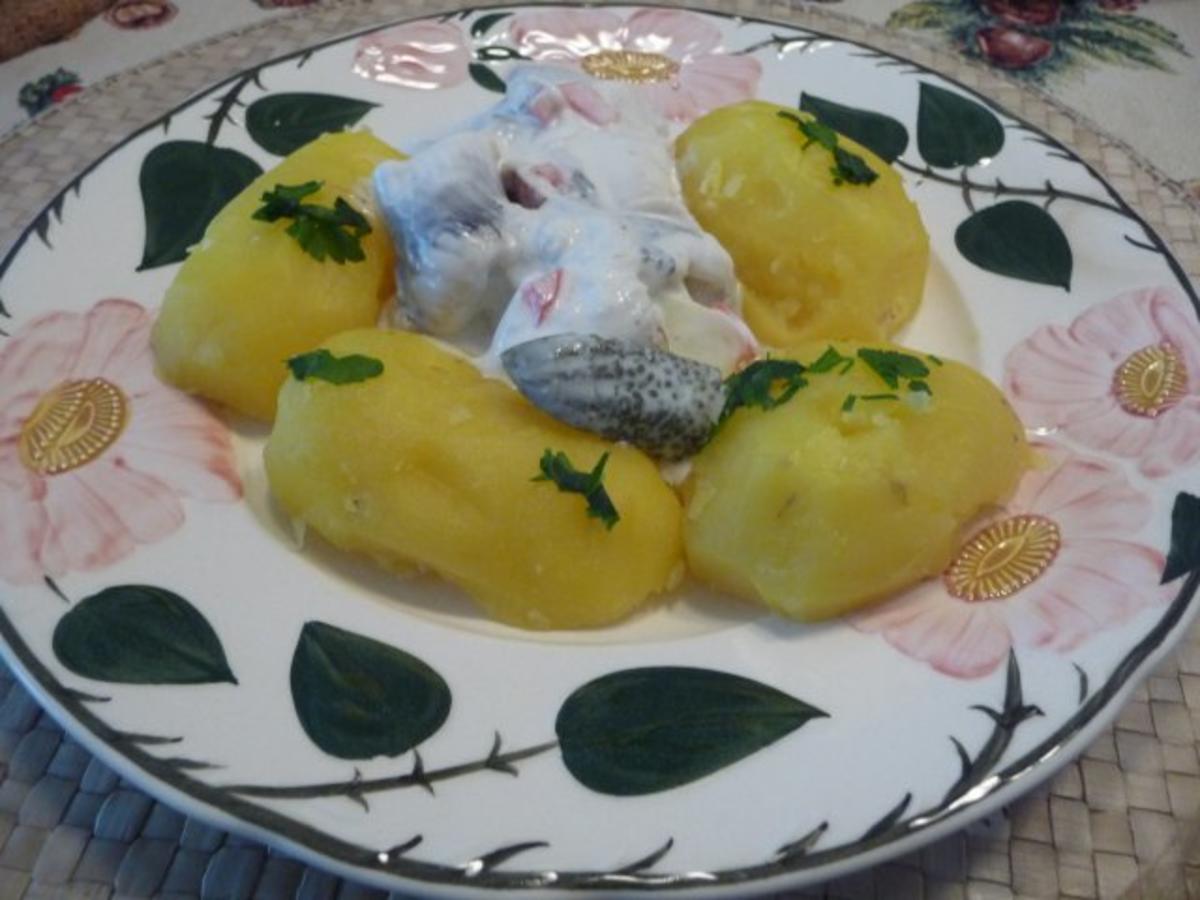 Bilder für Fisch : Eingelegten Bismarckheringe an Schmand - Joghurt-Soße mit Petersilien - Kartoffen - Rezept