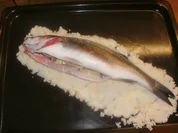 Wolfsbarsch (Loup de Mer) im Salzmantel - Rezept