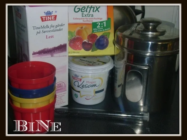 BiNe` S VANILLEQUARK - Rezept - Bild Nr. 2