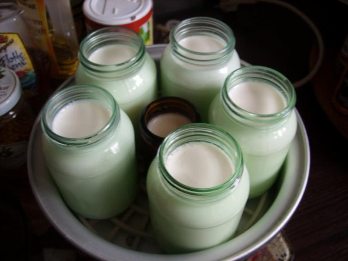 Joghurt selbstgemacht - Rezept