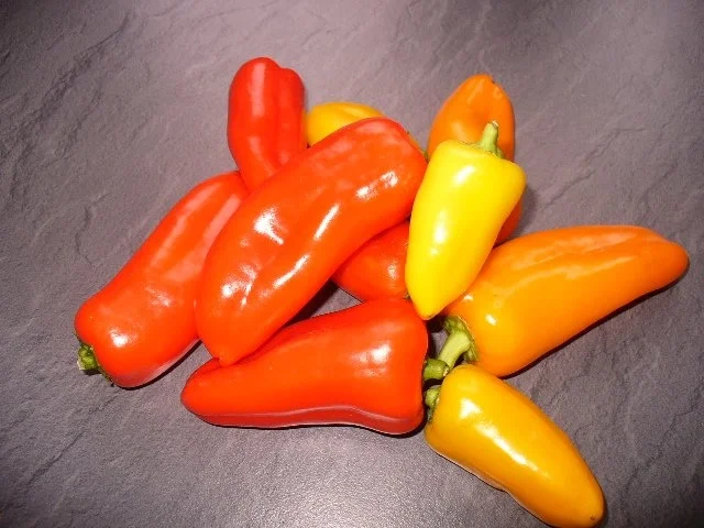 gefüllte Baby-Paprikaschoten an Butterreis - Rezept - Bild Nr. 2