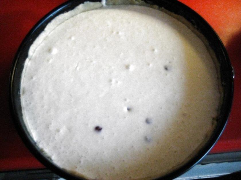Käsekuchen mit Kokosmilch - schnell &amp; einfach - von manschie