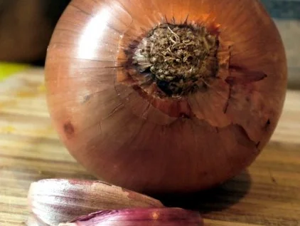 Rezept: Ravioli mit Gorgonzola-Füllung, dazu eine einfache Tomatensauce Bild Nr. 3 Ravioli mit Gorgonzola-Füllung, dazu eine einfache Tomatensauce - Rezept - Bild Nr. 3