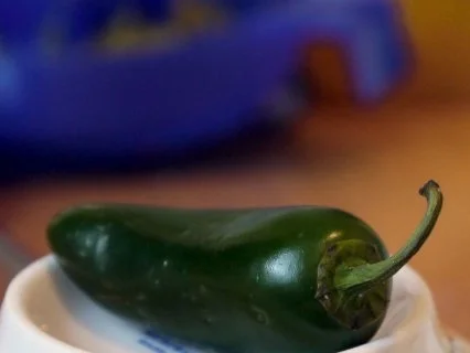 Rezept: Ravioli mit Gorgonzola-Füllung, dazu eine einfache Tomatensauce Bild Nr. 4 Ravioli mit Gorgonzola-Füllung, dazu eine einfache Tomatensauce - Rezept - Bild Nr. 4